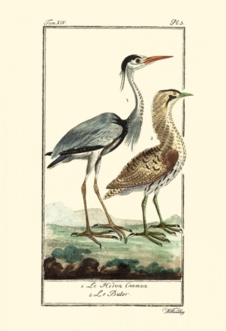 Buffon Cranes and Herons III