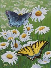 Butterflies and Daisies