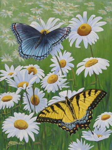 Butterflies and Daisies