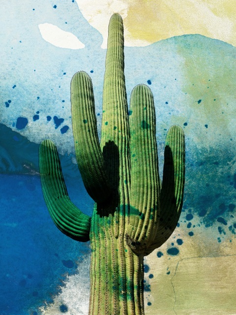 Cactus Abstract