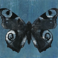 Chambray Butterflies I
