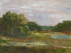 Changing Sunlight III