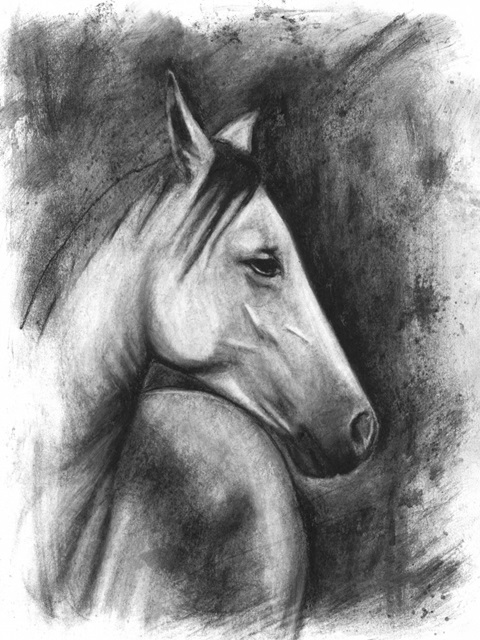 Charcoal Equestrian Portrait I