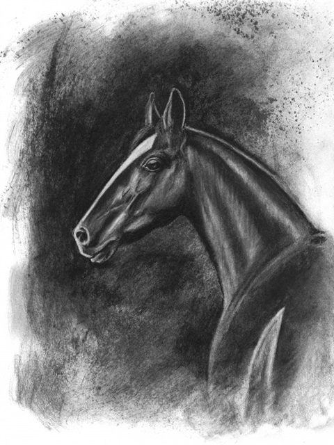 Charcoal Equestrian Portrait II