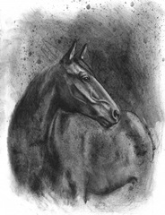 Charcoal Equestrian Portrait III