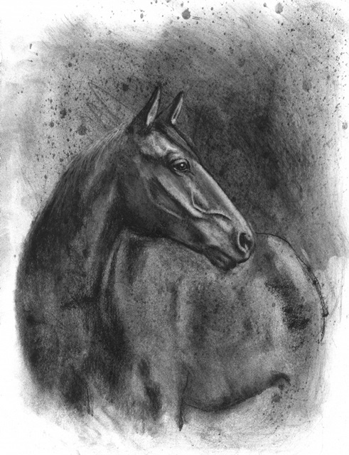 Charcoal Equestrian Portrait III