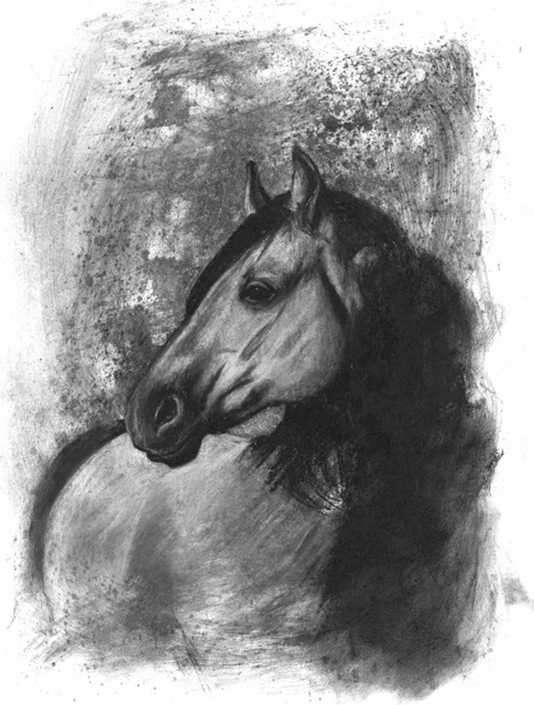 Charcoal Equestrian Portrait IV