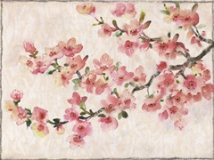 Cherry Blossom Composition I