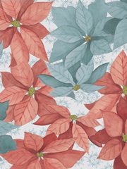 Christmas Poinsettia II