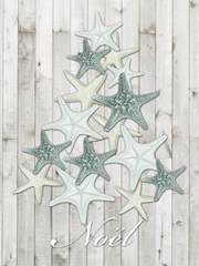 Coastal Christmas IV