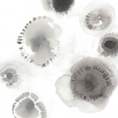 Concentric Petals II