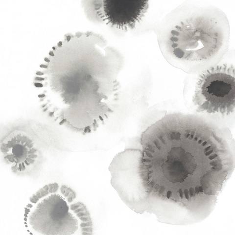 Concentric Petals II