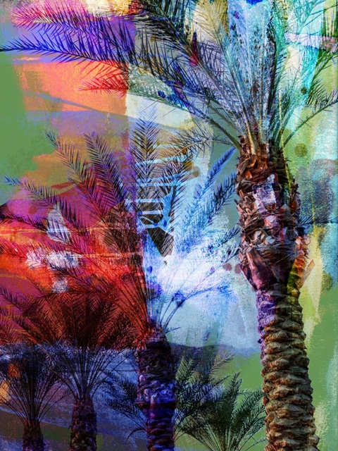 Desert Palm Abstract