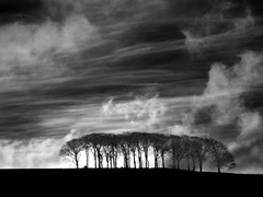 Early Morning Clouds