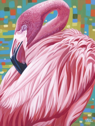 Fabulous Flamingos II