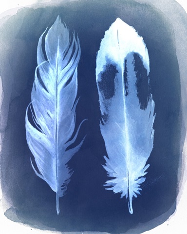 Feather Negatives II