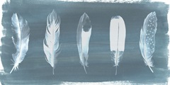 Feathers on Dusty Teal I