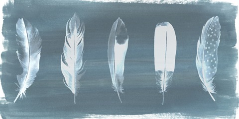 Feathers on Dusty Teal I