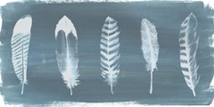 Feathers on Dusty Teal II