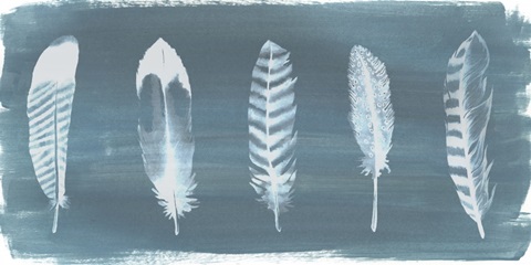 Feathers on Dusty Teal II