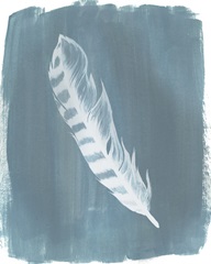 Feathers on Dusty Teal IV