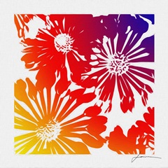 Floral Brights II