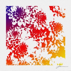Floral Brights III
