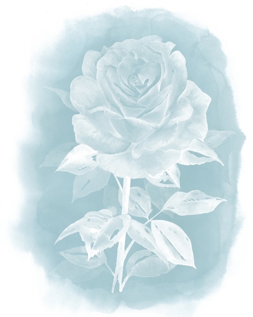 Ghost Rose I