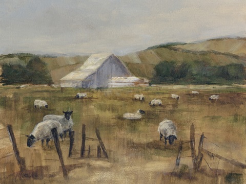 Grazing Sheep I