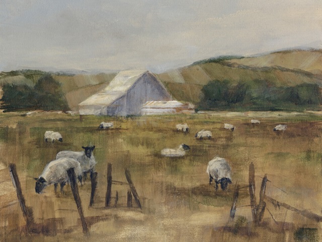 Grazing Sheep I