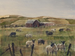 Grazing Sheep II