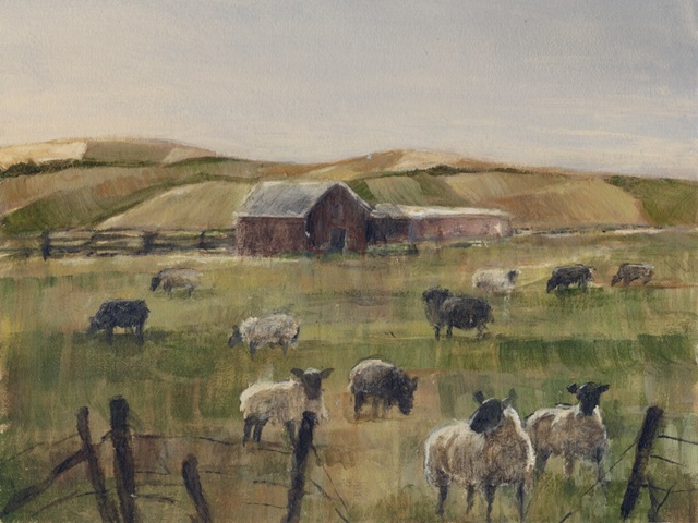 Grazing Sheep II