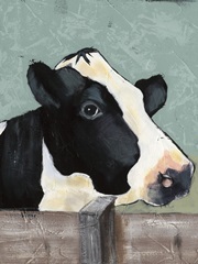 Holstein Cow I
