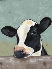 Holstein Cow II