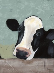 Holstein Cow III