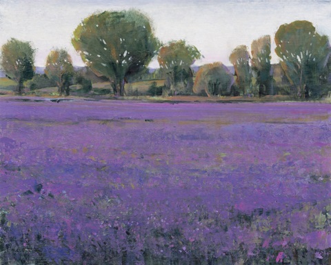 Lavender Field I