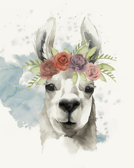 Llama Flora I