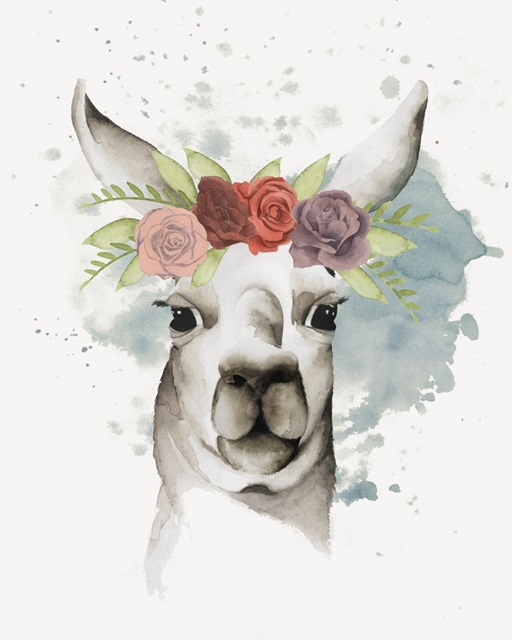 Llama Flora II