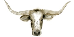 Longhorn Steer I