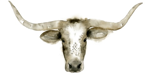 Longhorn Steer I
