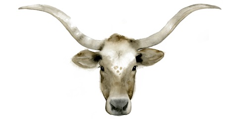 Longhorn Steer II