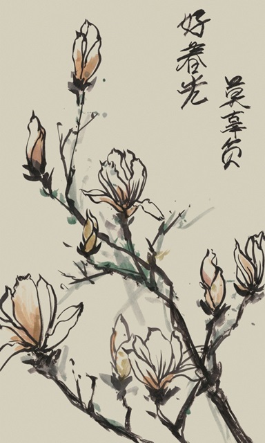 Mandarin Magnolia I