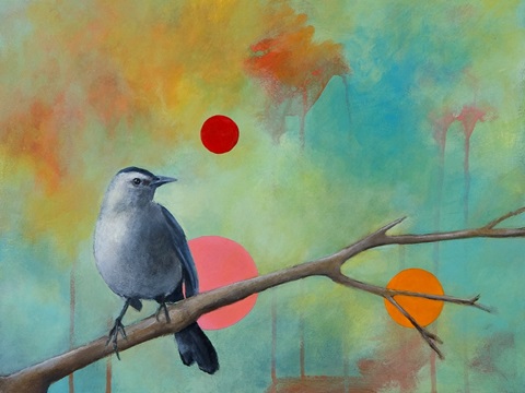 Mysteries of the Universe X