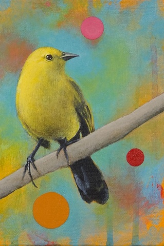 Mysteries of the Universe XII