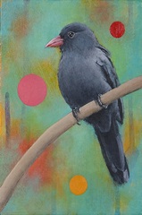 Mysteries of the Universe XV