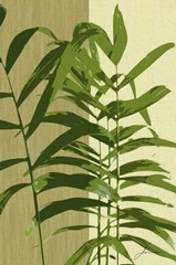 Painted Contrast Leaves II