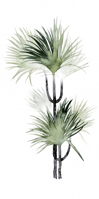 Palm in Watercolor I