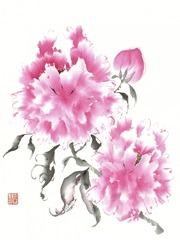 Peonie Blossoms I