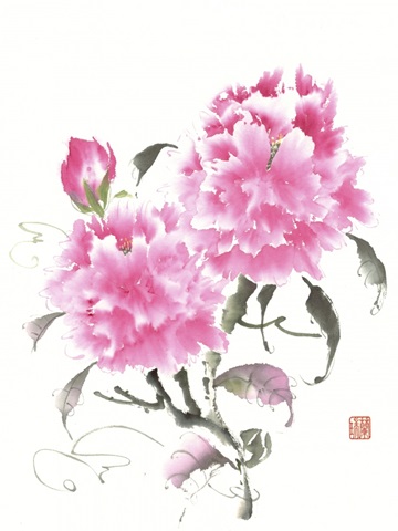 Peonie Blossoms II
