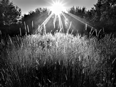 Reaching for the Sky